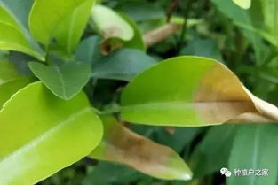 治疗要注意，别滥用