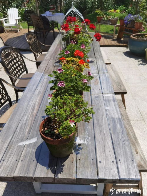 修剪， 就像给朋友理发