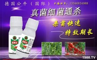 对比一下 差别在哪