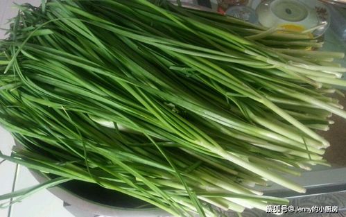 秋季韭菜不开花，秘诀是什么