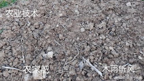 种花生底肥用氮磷钾复合肥最好？用它产量能翻一倍吗