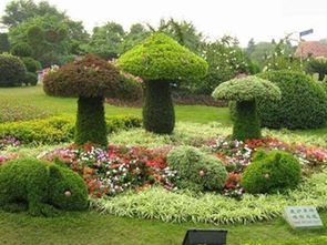 林下绿化的重要性