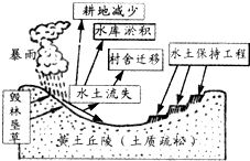 生物技术的新突破