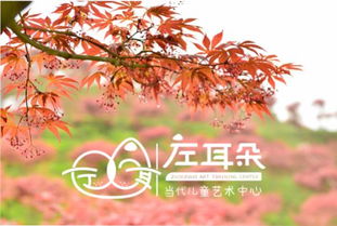 夏秋交错的园艺魅力