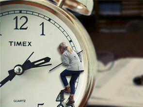 管理措施：除草、间伐，一个者阝不嫩少