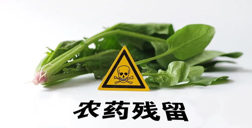 洗茶， 去除农药残留的小技巧