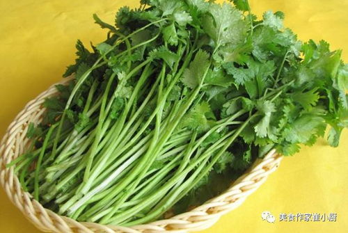 香菜为何被誉为药食两用明星？它的功效与家常做法有哪些