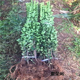 为什么这么贵？