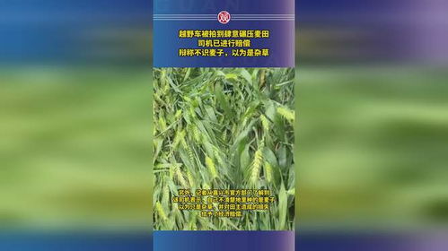 混用谨慎，效果不Neng忘