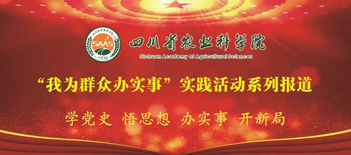 农业养殖新挑战，创新策略谋发展