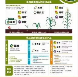 如何选择先正达亮泰