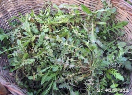 如何有效去除野菜上残留的除草剂药性，恢复其食用平安？