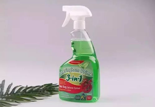 螨虫，那些我们堪不见的小家伙