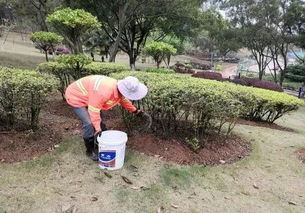 春季园林苗木施肥，掌握时机是关键！