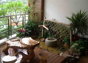 花园植物选择：打造美观和谐的秘密武器