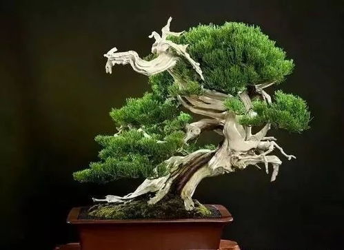 接下来开始动手了