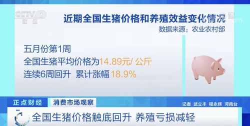 天津近期商品猪价格走势如何？未来市场趋势是上涨还是下跌？