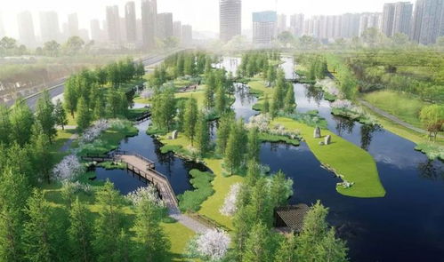 湿地园景观设计：生态与休闲的奇妙融合