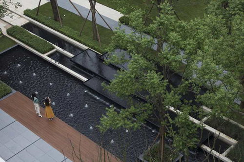 巧妙布局，和谐共生