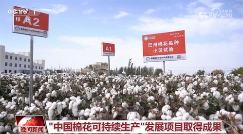 产量下降的真相