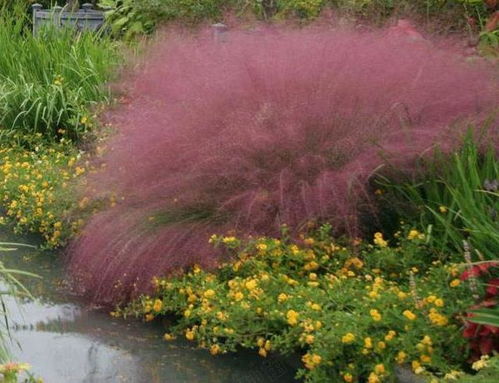 再说说说句大实话：