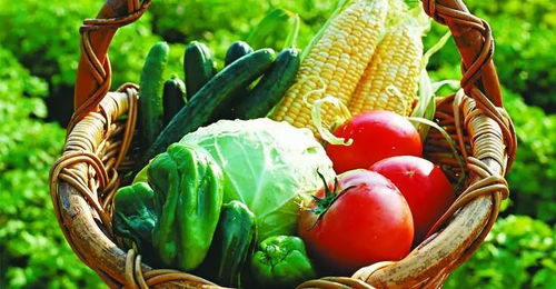 夏天到了清凉蔬菜来啦！