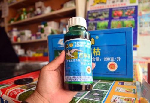 误食后的生死较量