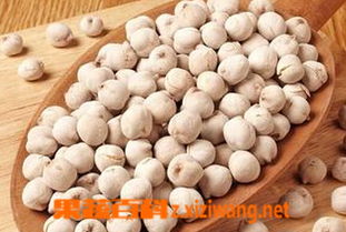 如何确保鹰嘴豆的平安