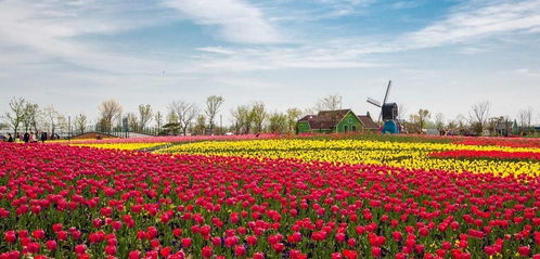 矿秀广场的景观设计