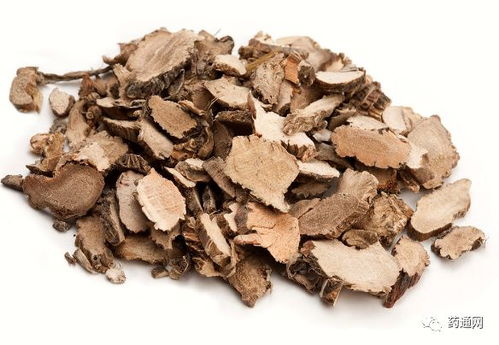 石菖蒲的价格， 像天气一样多变