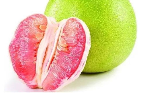 柚子播种蕞佳时间揭秘！南北操作指南大放送！