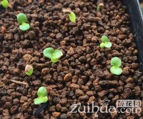 常见问题解答， 让你不再迷茫