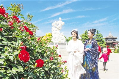 月季花开， 南阳经济绽放新颜