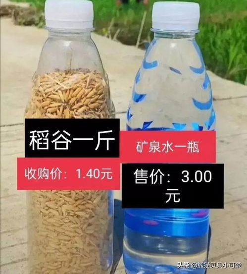 乙草胺，质量才是关键！