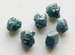 石蹦养殖指南：揭秘石蹦的营养与神奇功效