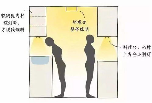 八角木养殖需注意土壤、水分、光照等条件