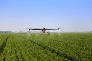 网站三：马上下载4K航拍农业农民在农田打农药水稻田