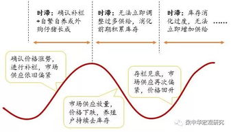 探究猪价波动背后的经济规律与市场玄机