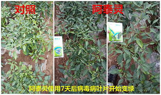 多菌灵是主要用于防治作物病害的吗？