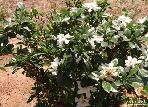 阳光与阴影：光照的平衡艺术