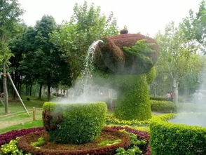 种植技巧与品种选择