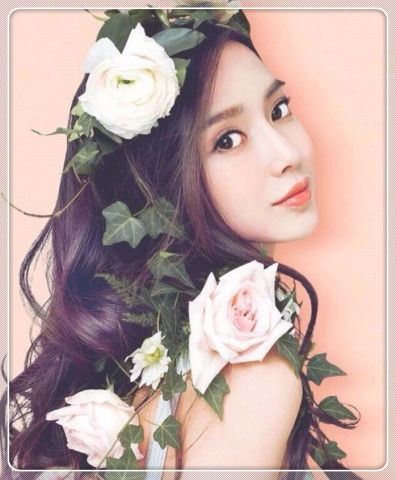 茶花女：颜值担当，叶子绿得发光