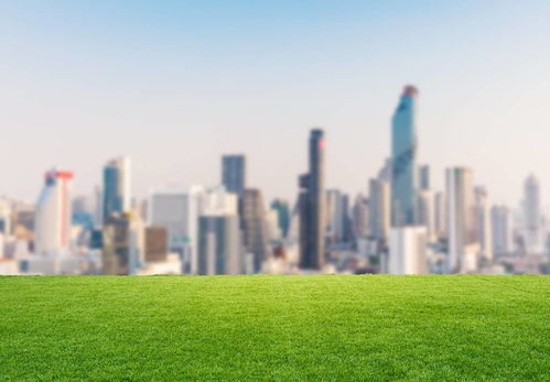 草坪种植的注意事项