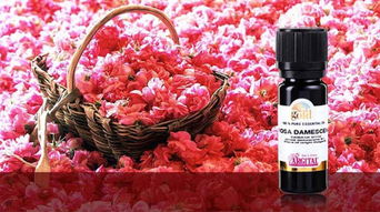 大马士革玫瑰精油的神奇之处
