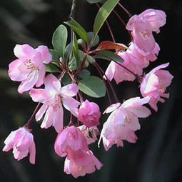 开头乱说一通， 凑字数