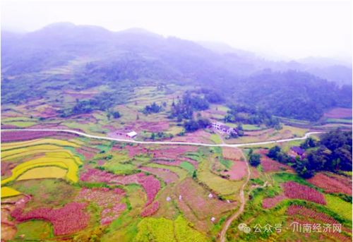 山茱萸合作社：联合力量， 共创未来