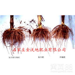 豆粕发酵成有机肥的过程是怎样的？