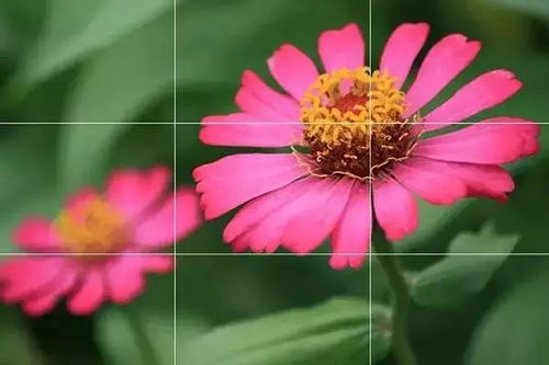 1. 摄影技巧大公开