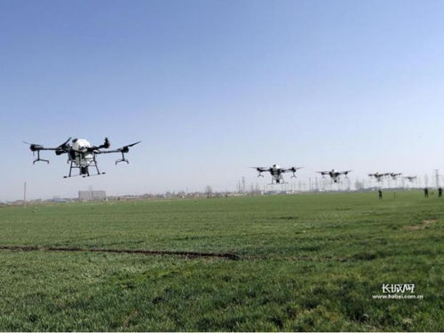 镰刀：镰刀主要用于割除高大的杂草和灌木