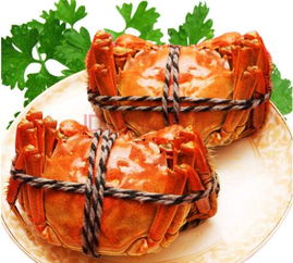 秋季是品尝大闸蟹最佳时节，肉质鲜美